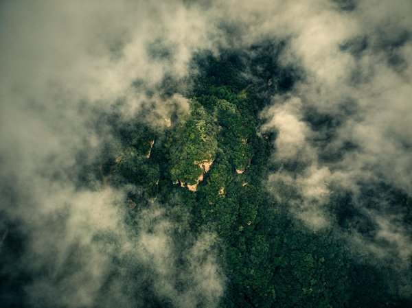 Les délicieuses pizzas artisanales du kiosque à Cheroy